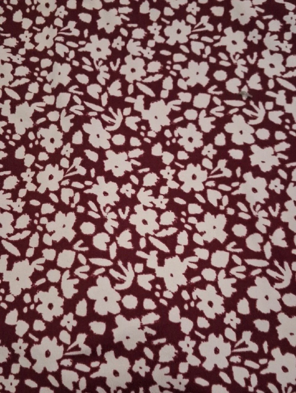 Tranquility by Colorado Clothing Burgundy Active Skorts Size Large